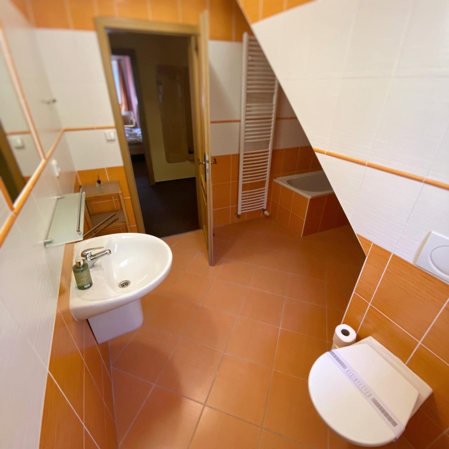 Horsky Hotel Snezenka Hynčice pod Sušinou Exterior foto